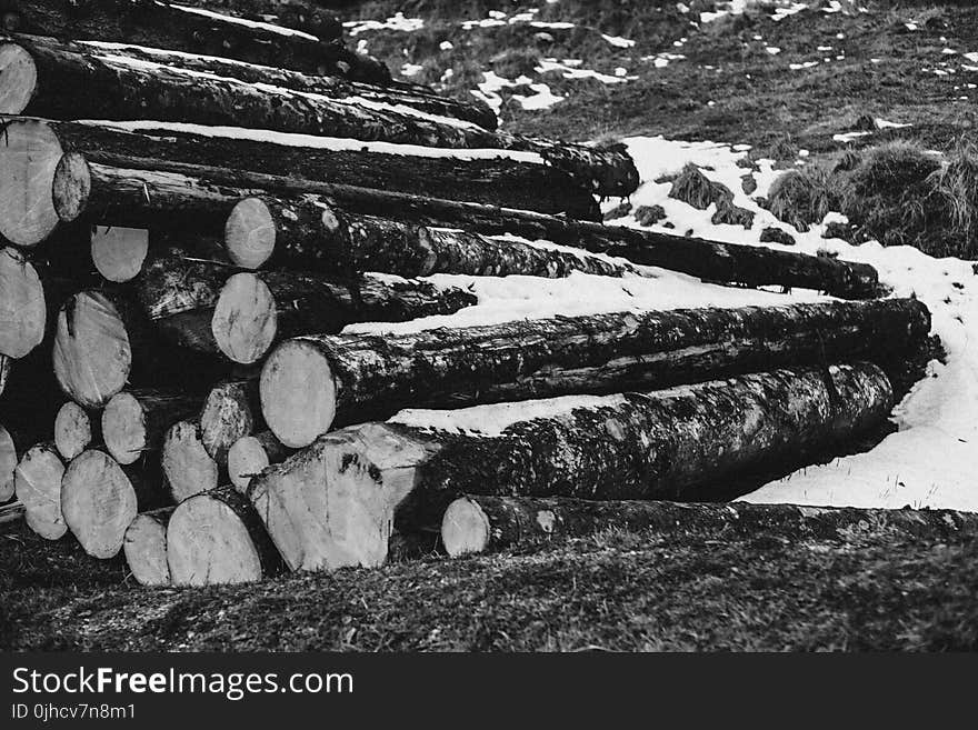 Grayscale Photo of Piled Wood Logs