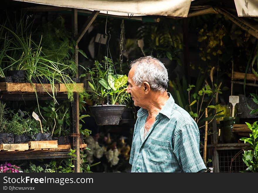 Man in Blue Button-up T-shirt Walks Near Green Leaf Plants