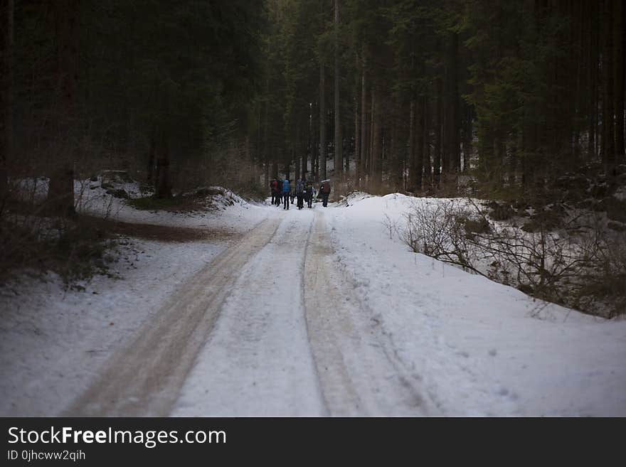 People Walking on Icy Road