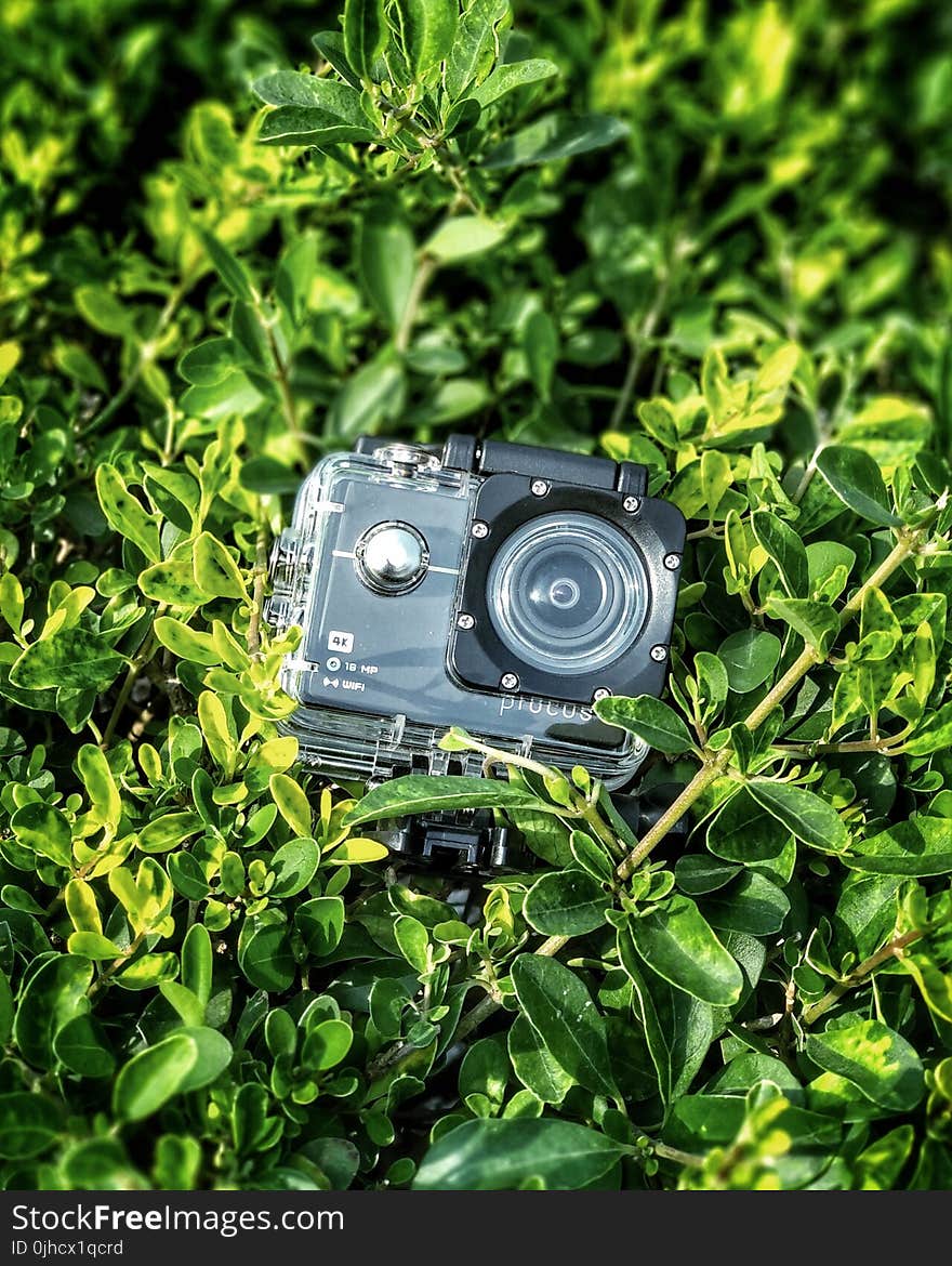 Gray and Black Action Camera on Green Leaves Plants