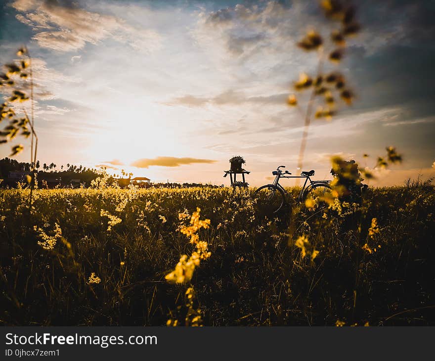 Black Dutch Bicycle Surrounded by Green Grass Field