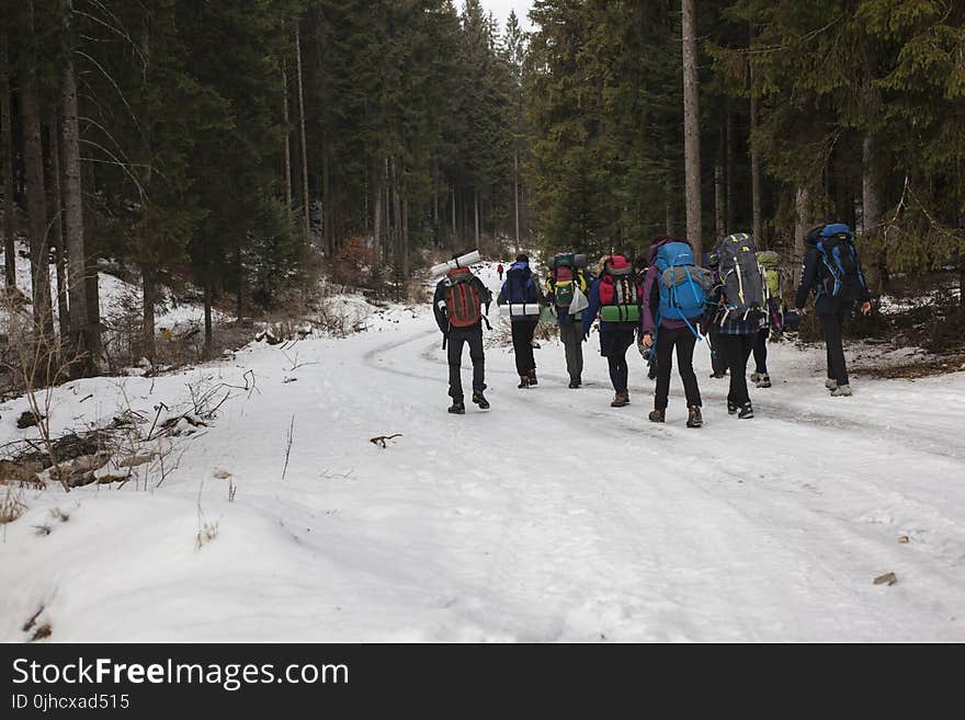 Mountaineers Walking on Snow