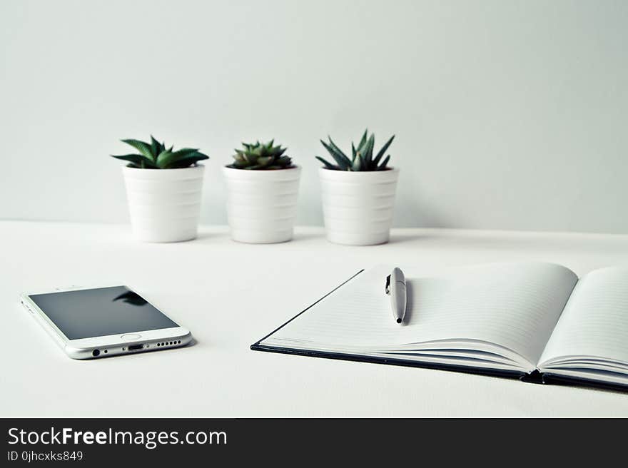 Three White Ceramic Pots With Green Leaf Plants Near Open Notebook With Click Pen on Top