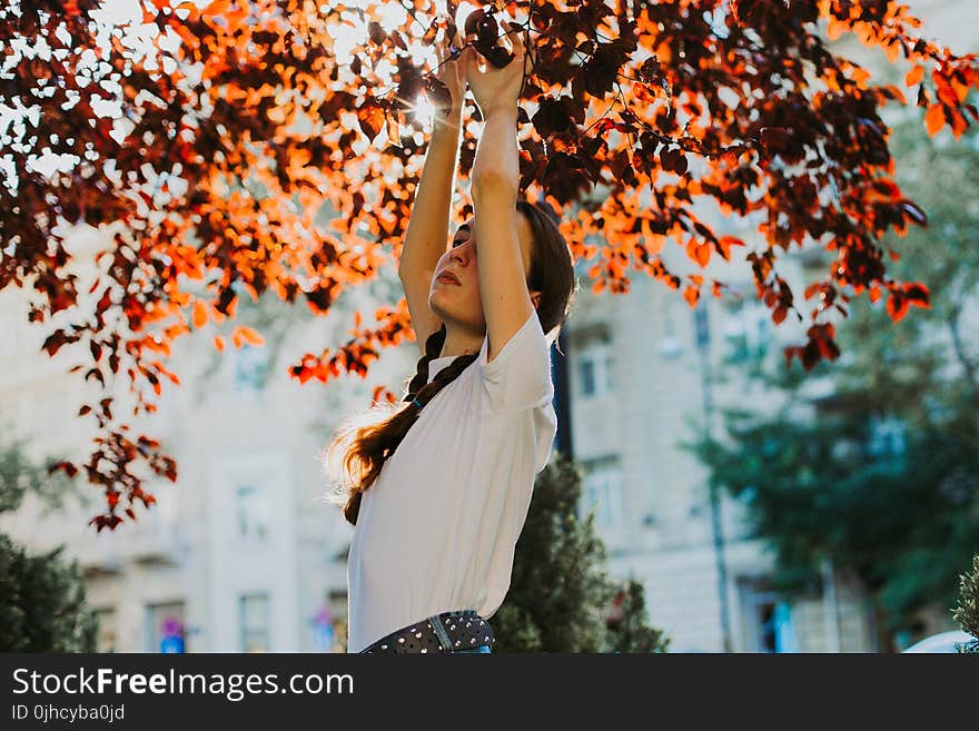 Selective Photo of Woman Raising Her Hands Underneath Tree