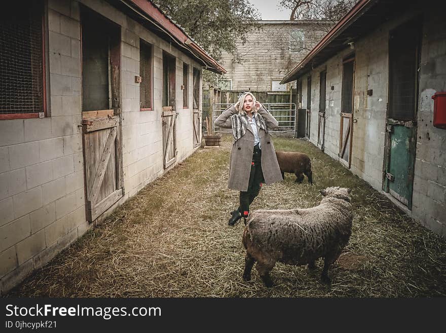 Woman Standing Near Sheep