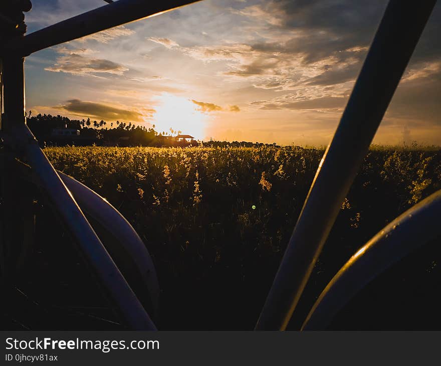 White Metal Framed Near Grass Field