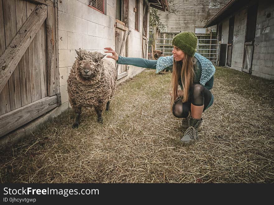 Woman Holding Sheep Beside Wall