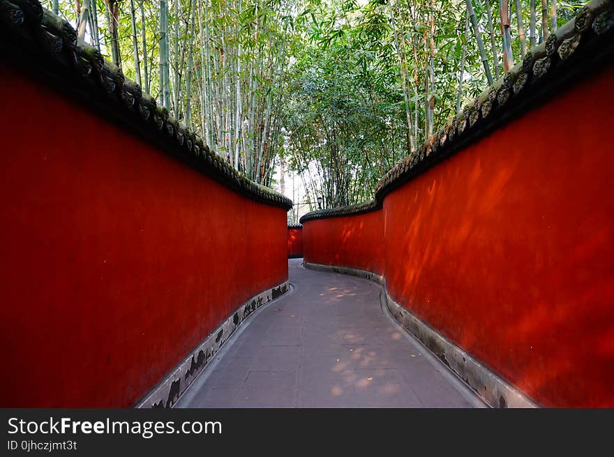 Red and Gray Pathway Near Trees