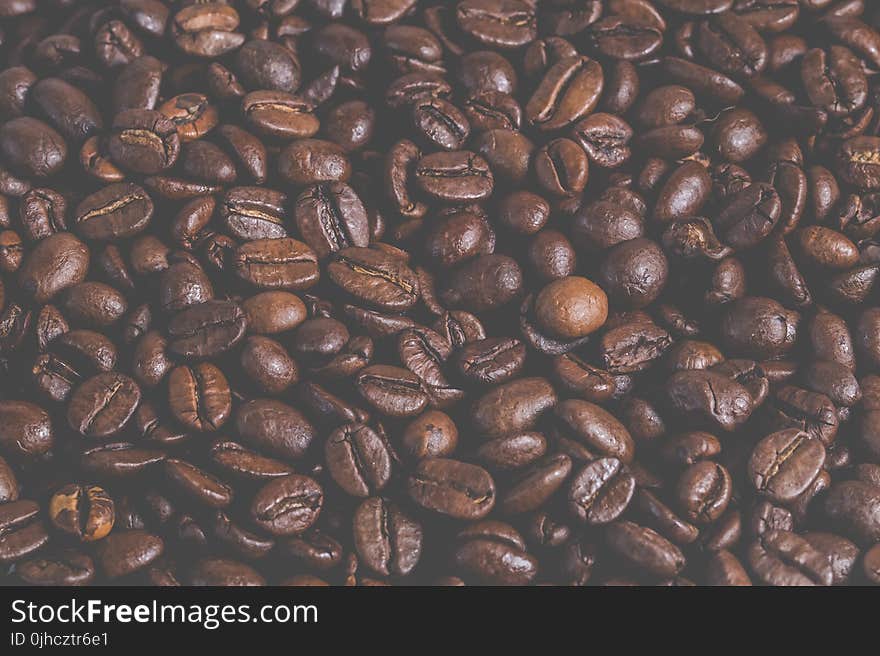 Coffee Beans