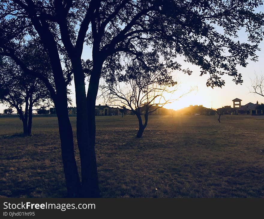 Green Grass Field during Sun Set