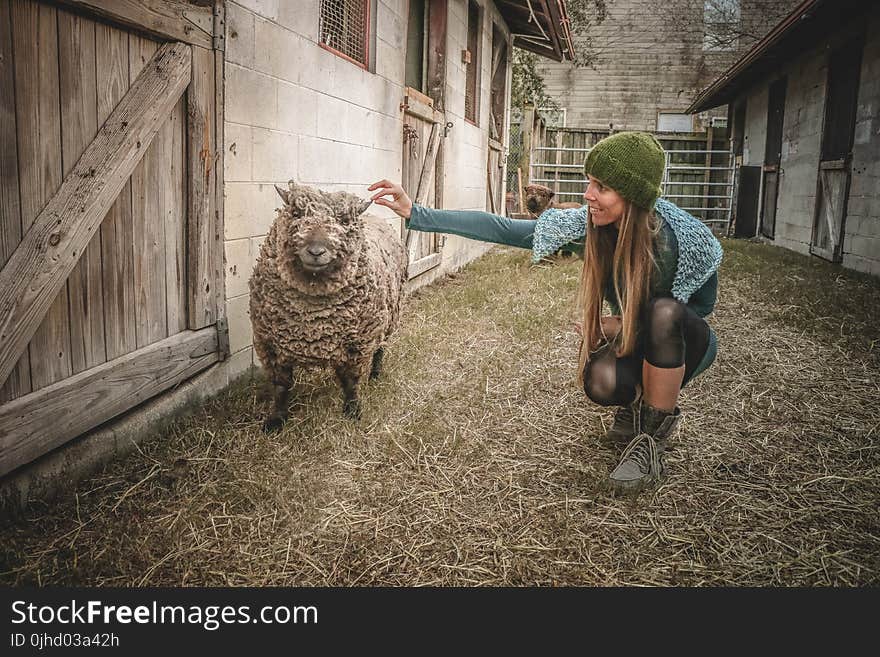 Woman Wearing Beanie Beside Sheep