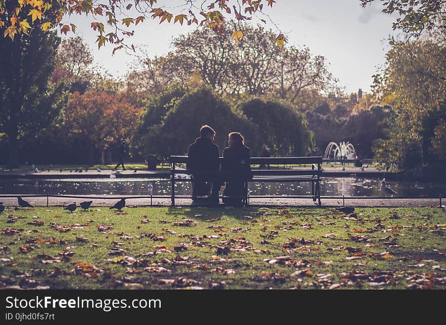 Photography of People Sitting on Bench