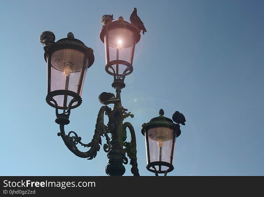 Black 3-light Post Lamp Under Blue Sky