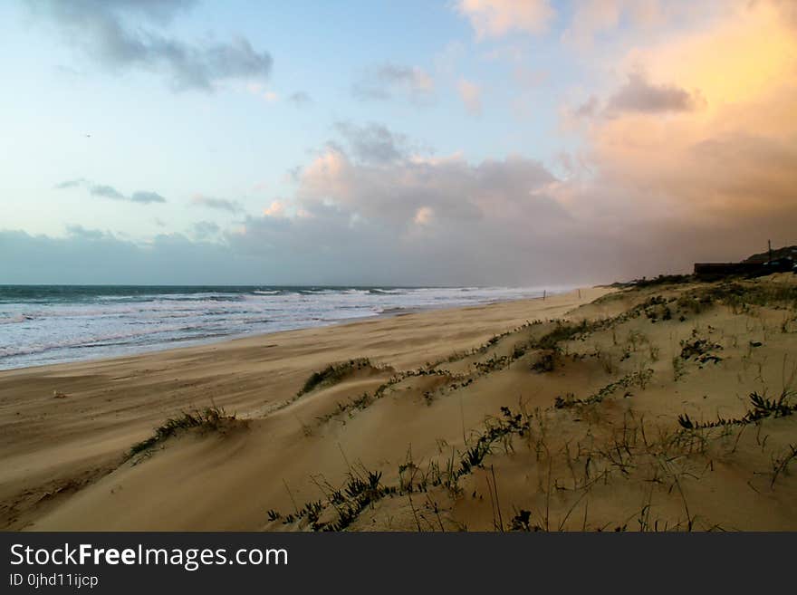 Seashore Under Blue Sky and White Clouds View