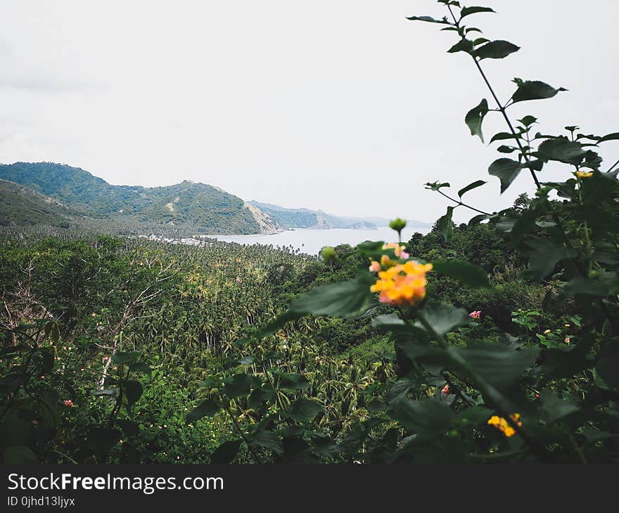 Scenic View of Mountains