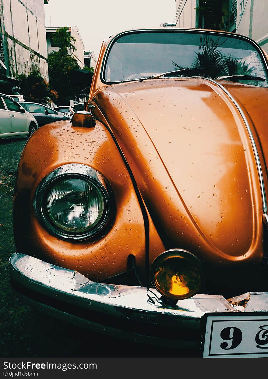 Close-Up Photography of Volkswagen Beetle