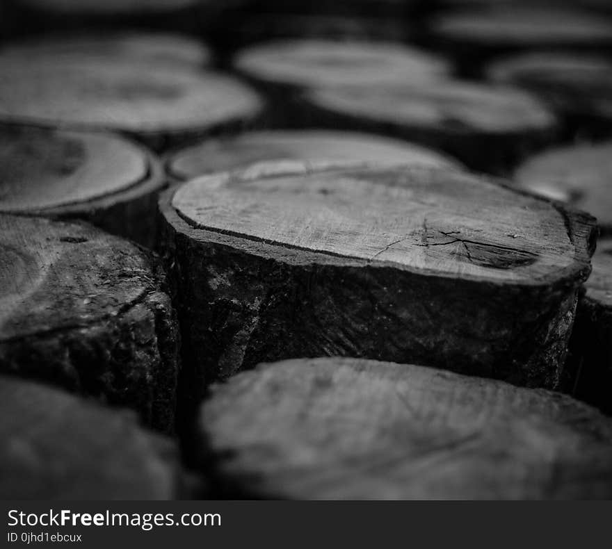 Grayscale Photo of Wood Logs