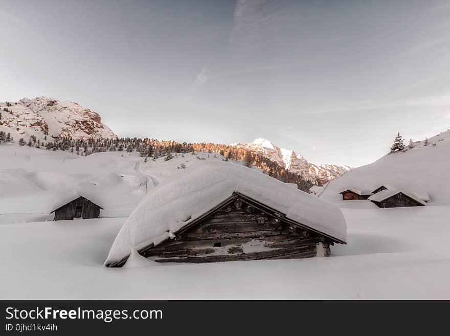 Brown Wooden Houses Covered in Snow at Daytime