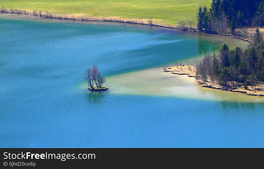 Areal View Of Body Of Water And Trees