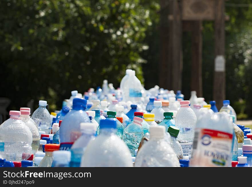 Assorted Plastic Bottles