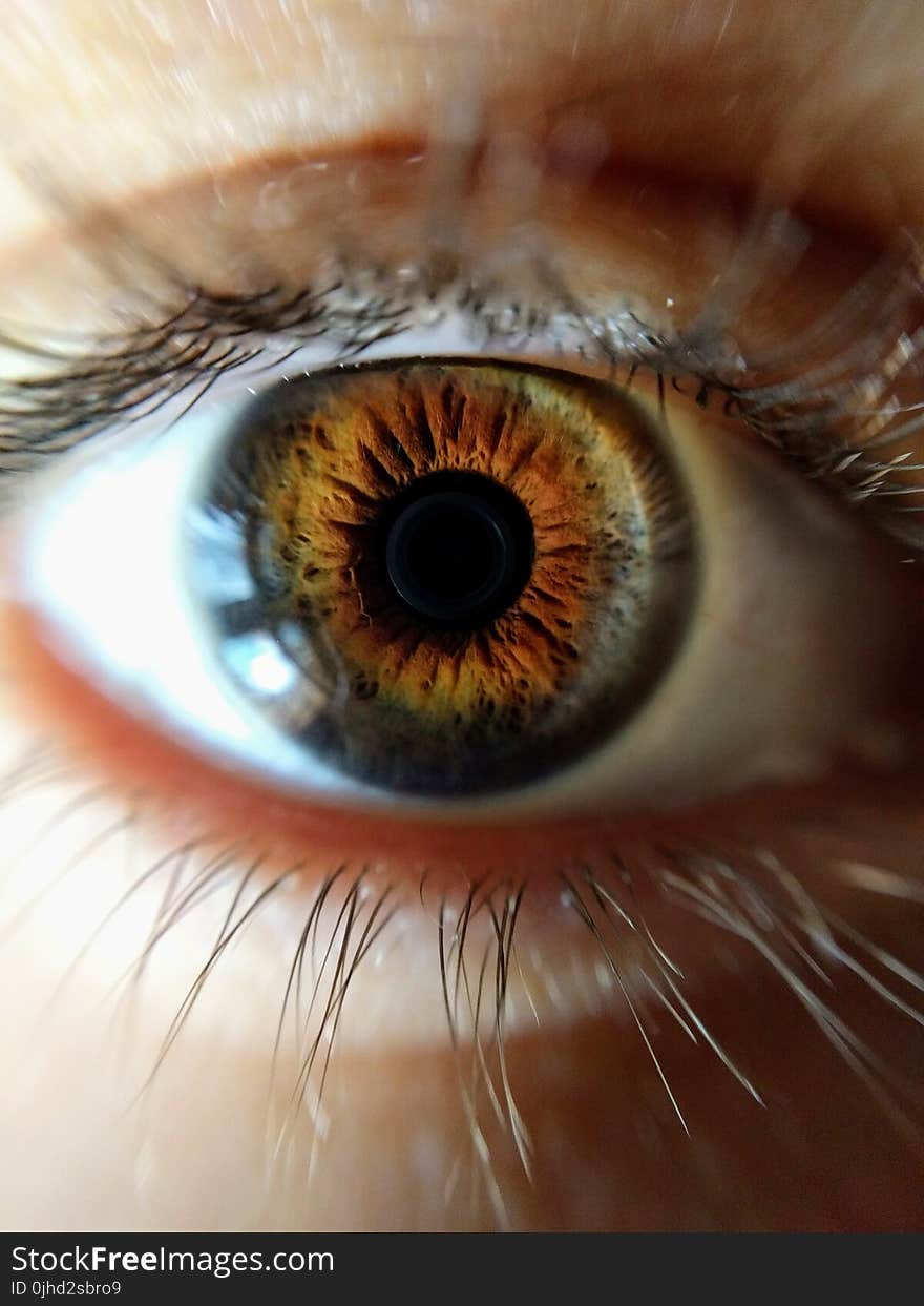 Human Eye Closeup Photo