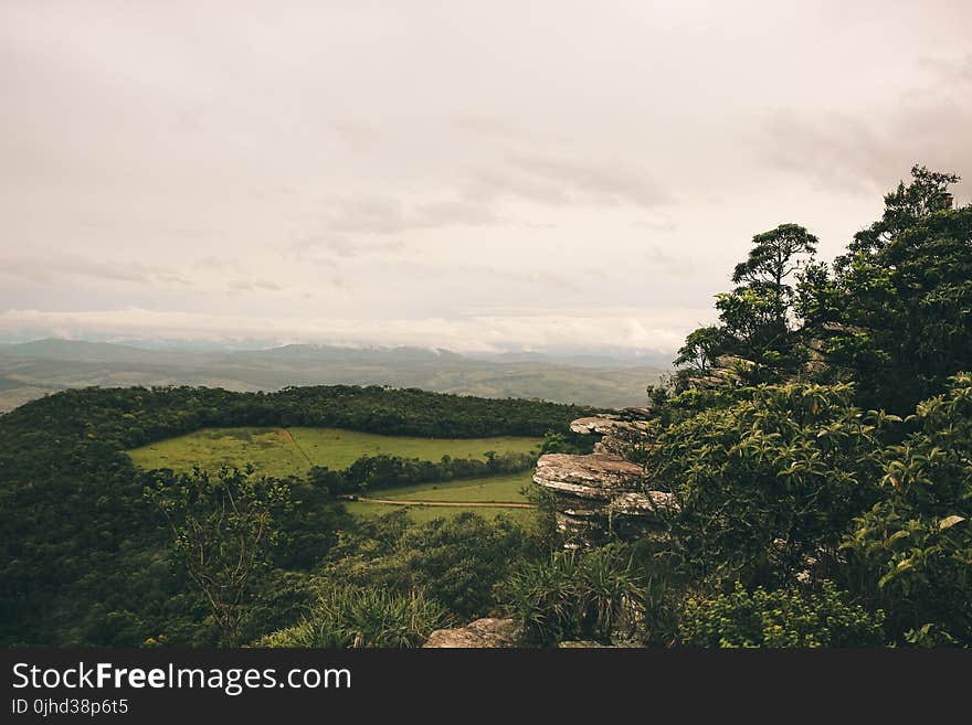 Landscape Photography of a Green Forest With Mountains