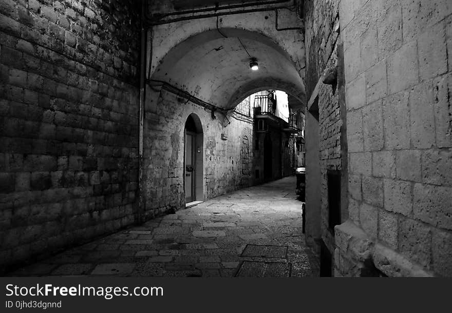 Grayscale Photo of Brick Walled Alley