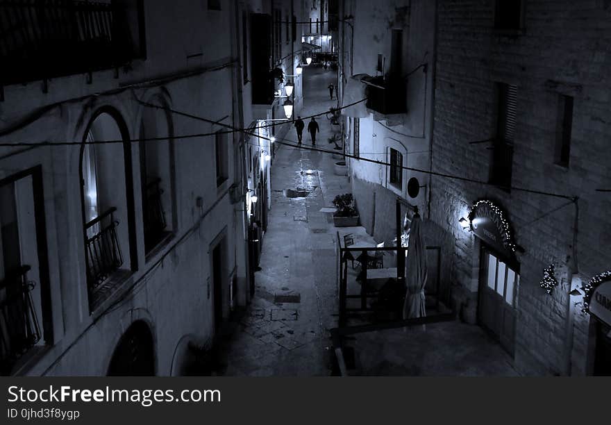 Grayscale Photo of Buildings