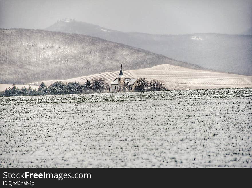 Snow Covered Field