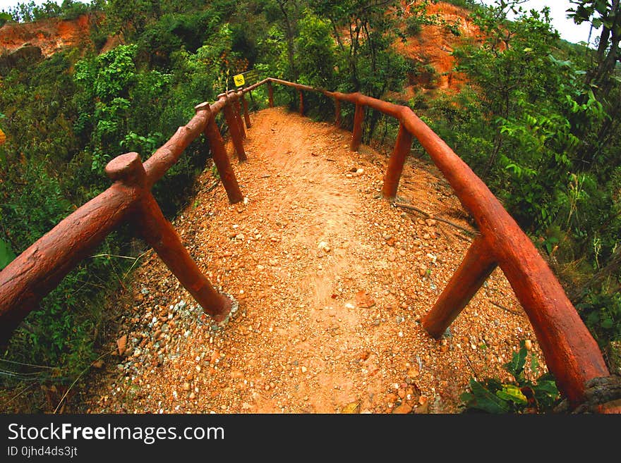 Pathway