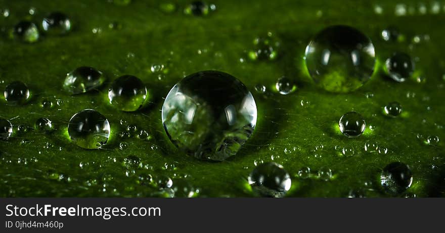 Macro Photography of Waterdrops