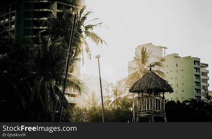 Brown Wooden Gazebo