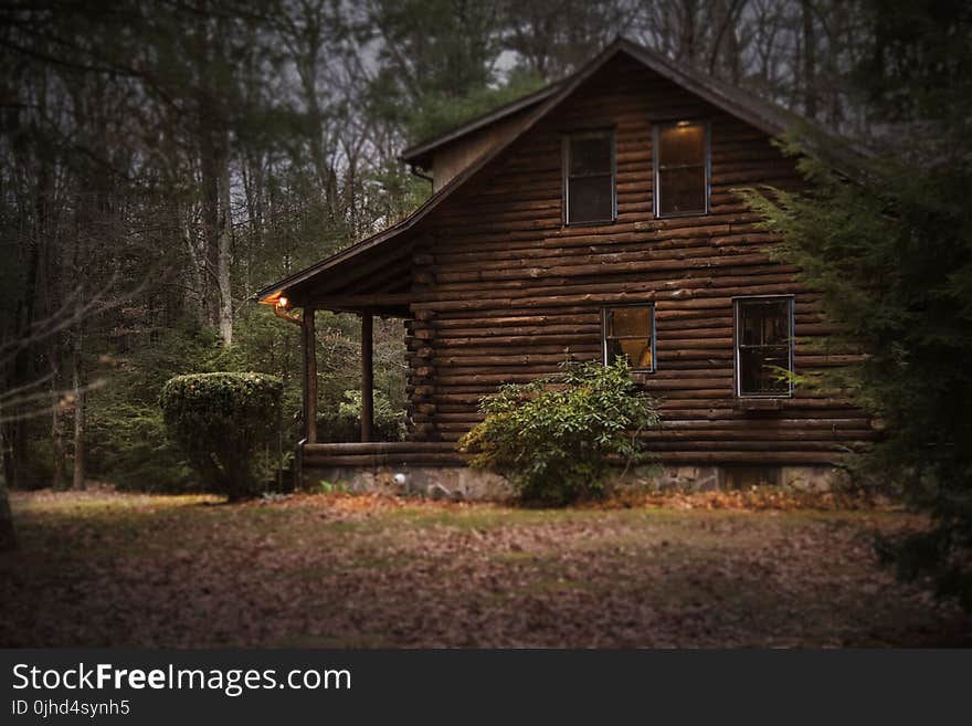 Brown Cabin in the Woods on Daytime