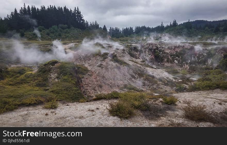 Green Grasses With Smokes and Green Trees