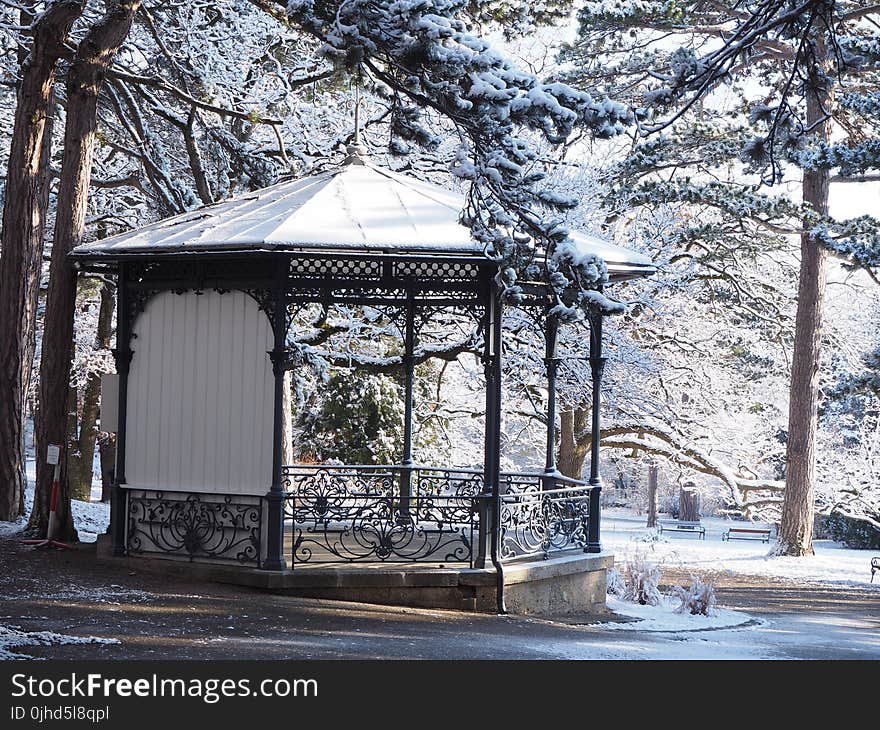 White and Black Canopy on Snow Forest