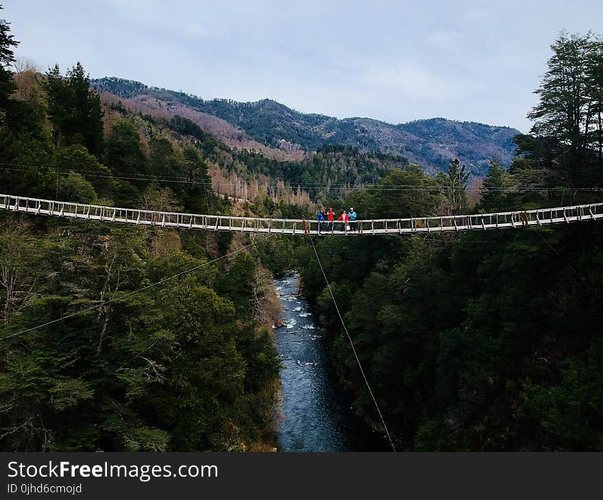 People Standing on Bridge