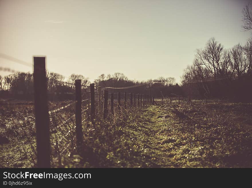 Silhouette Of Fence