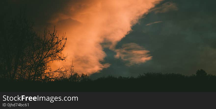 Silhouette of Trees Under Blue Sky With White Clouds