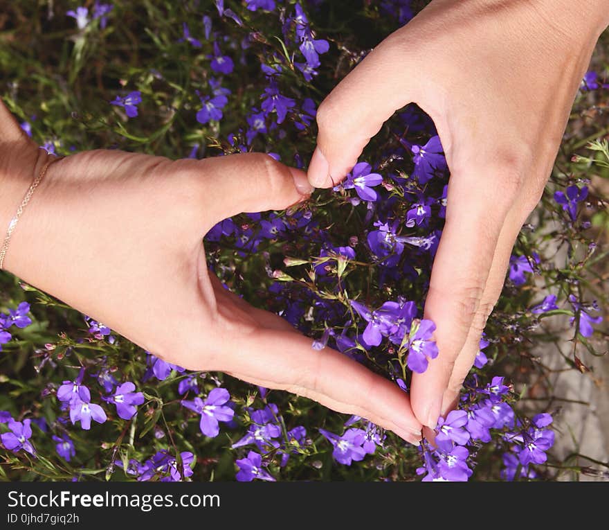 Heart Shape With Hand