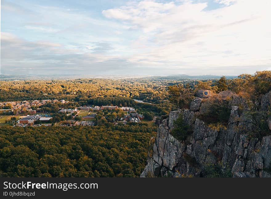 Gray Rock Formation and Trees