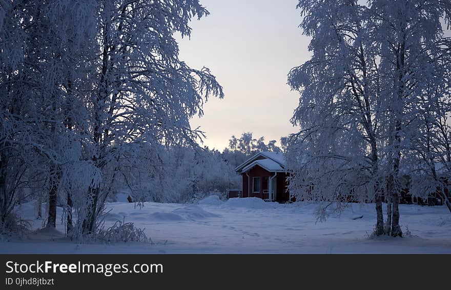 House With Snowfield