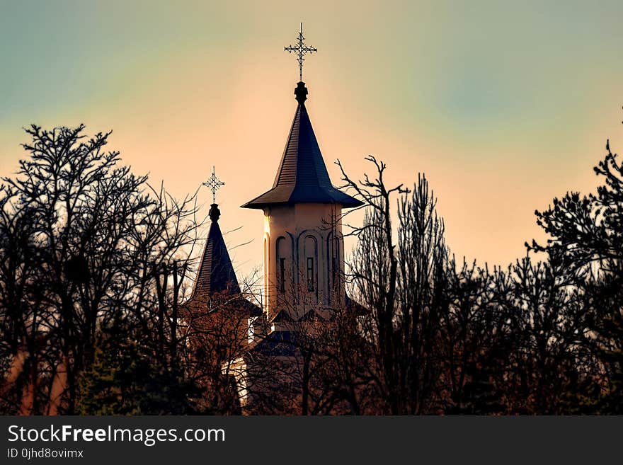 Brown Concrete Church Surrounded by Green Leaf Trees