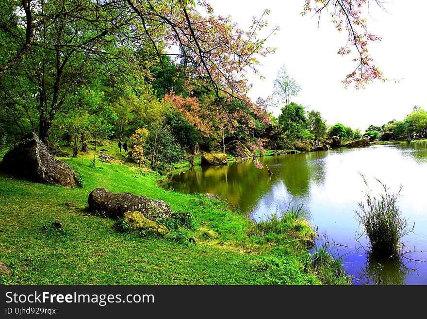 Photo Of Lake Side