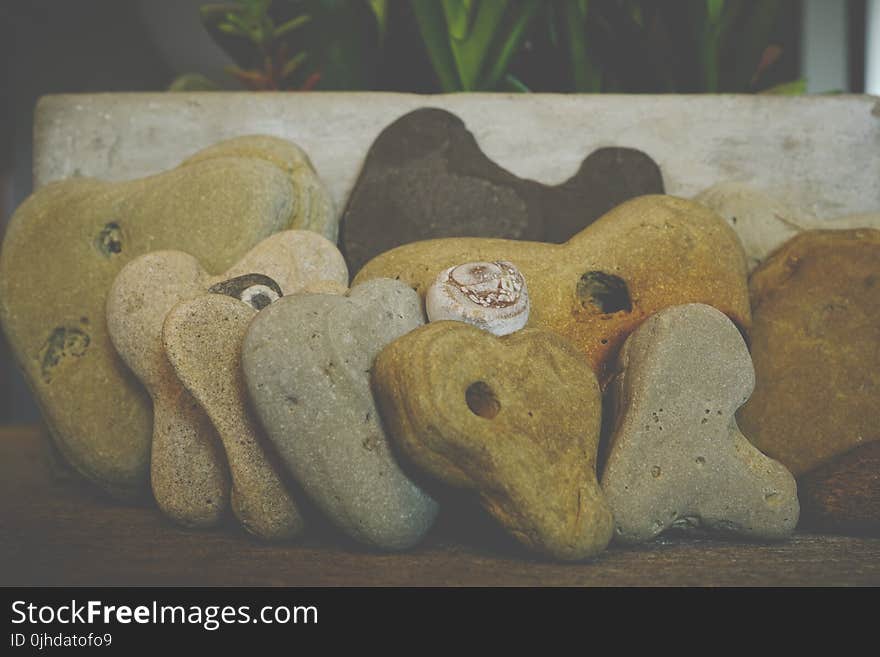 Close Up Photo of Arranged Stones