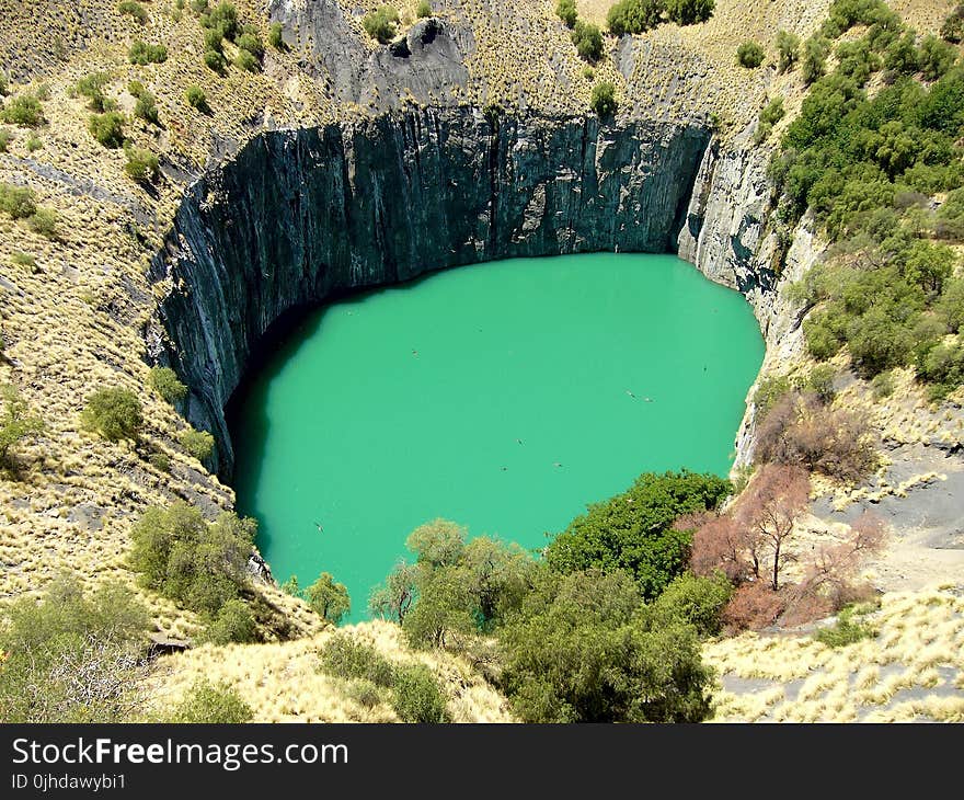 Body of Green Water Near Green Leaf Trees