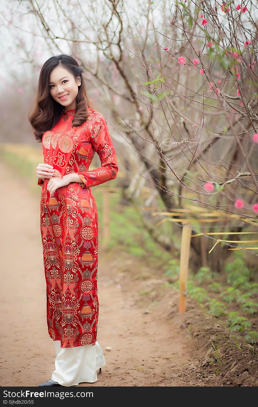 Woman in Red Crew-neck Long-sleeved Dress Near Bare Tree