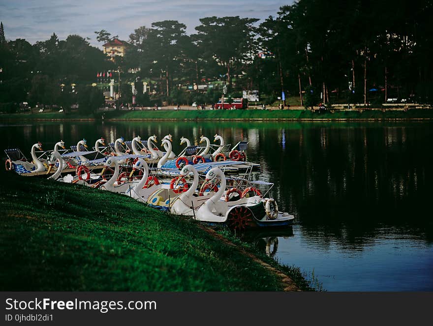 Swan Boat Docked on River