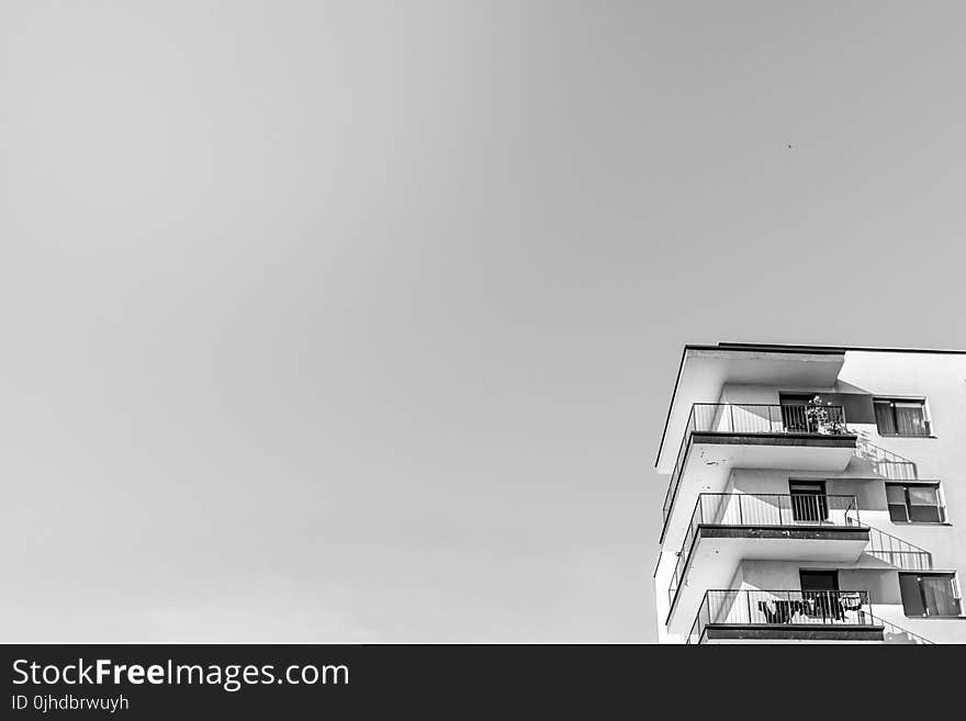 Grayscale Photo of Building