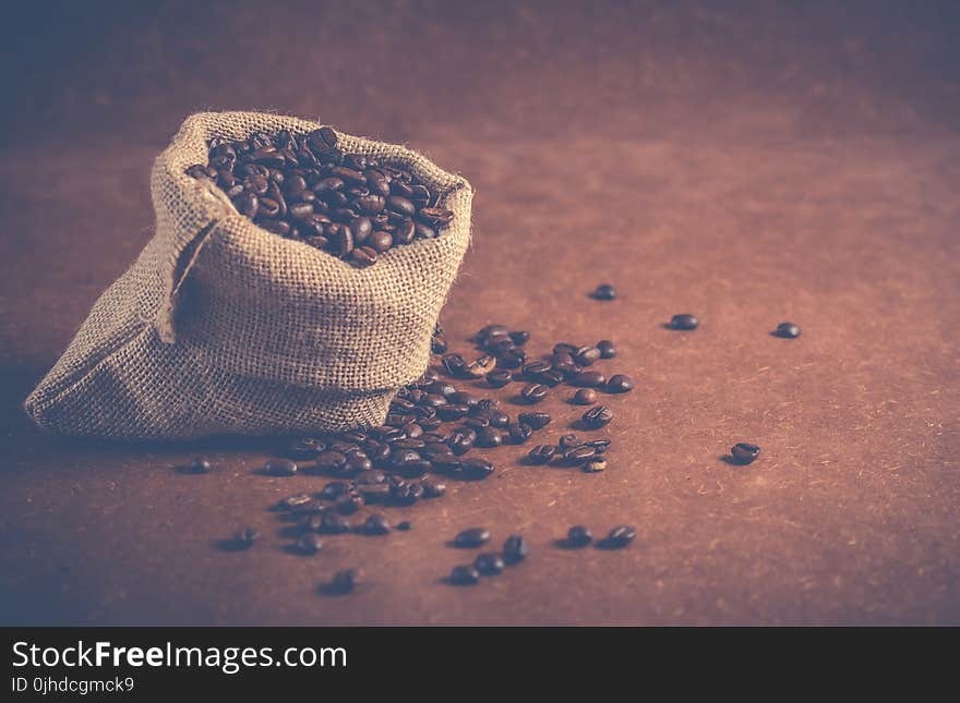 Coffee Beans on Gray Sack