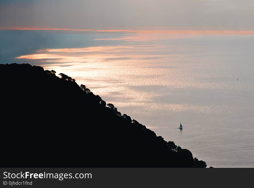 Silhouette of Trees on Mountain